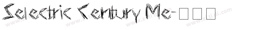 Selectric Century Me字体转换